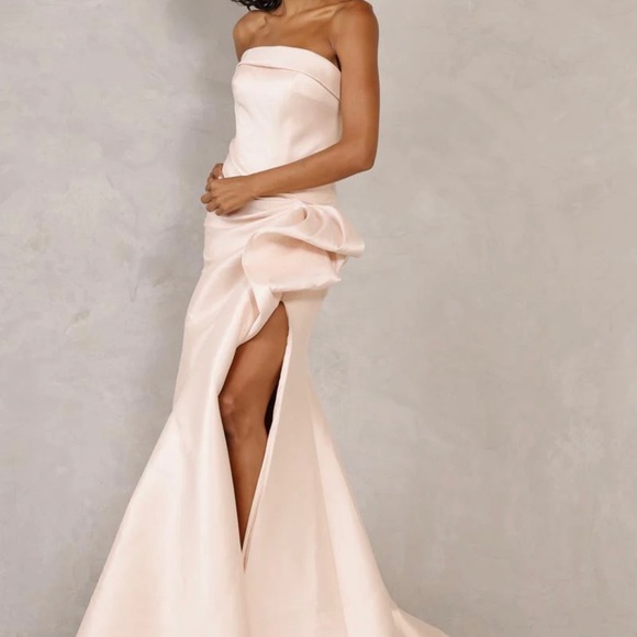Terani Couture Dresses & Skirts - Terani Couture Strapless Blush Gown